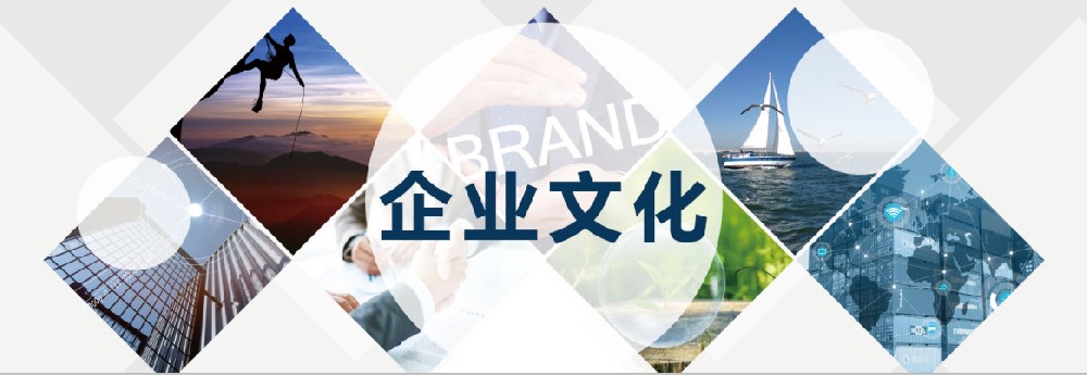 1725516125770611.jpg 企业文化.jpg
